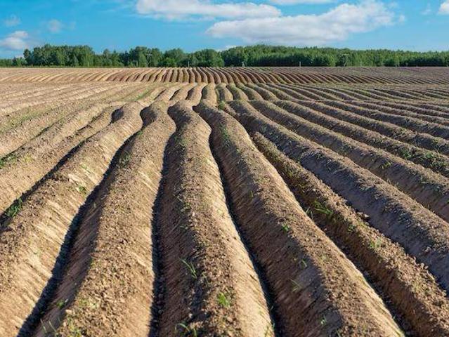 Terreno en venta en La Cruz, el Vinalopó Mitjà / El Vinalopó Medio