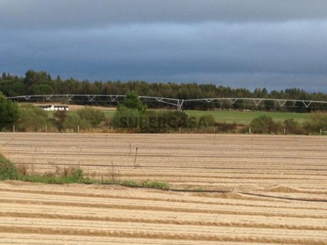 Terreno venda em Montijo, Setúbal