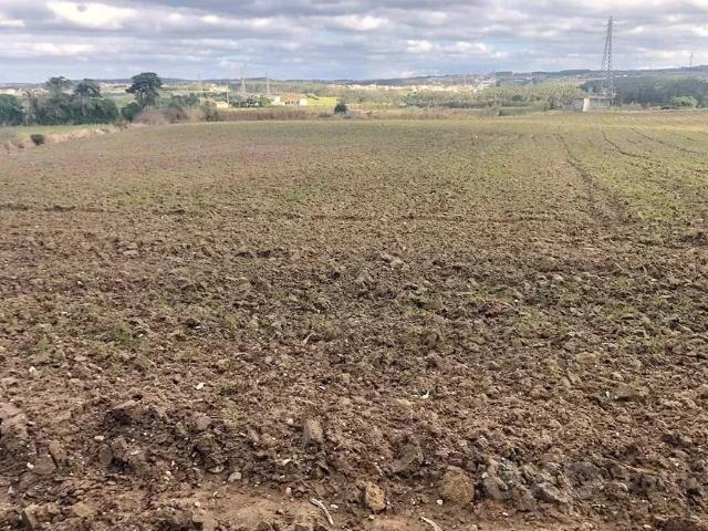 Terreno venda em Peniche, Leiria