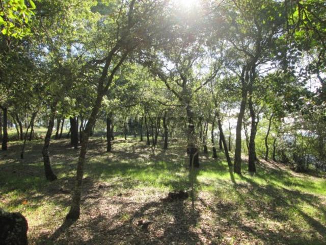 Terreno venda em Ourém, Santarém