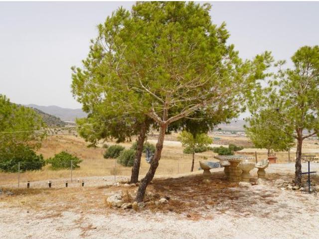 Local Comercial en venta en Gañuelas, Bajo Guadalentín