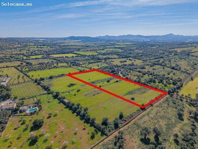 Local Comercial en venta en Manacor, Llevant