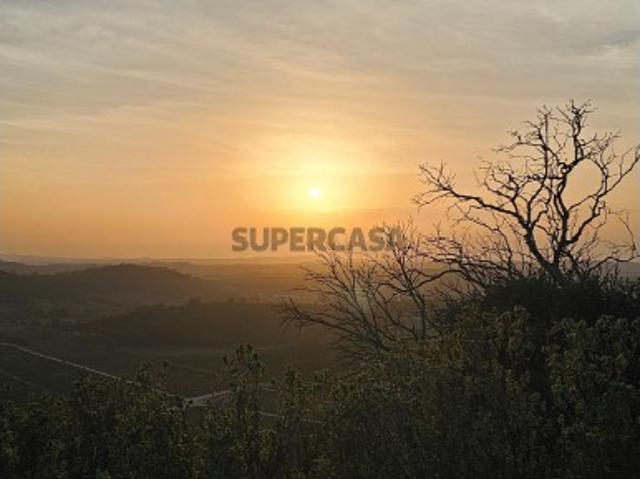 Terreno venda em Santarém