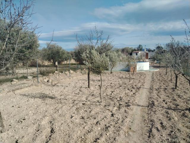 Terreno en venta en l'Alcoià, Valencia