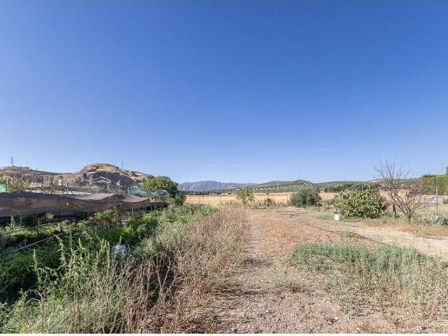 Local Comercial en venta en Búcor, Comarca de la Vega de Granada