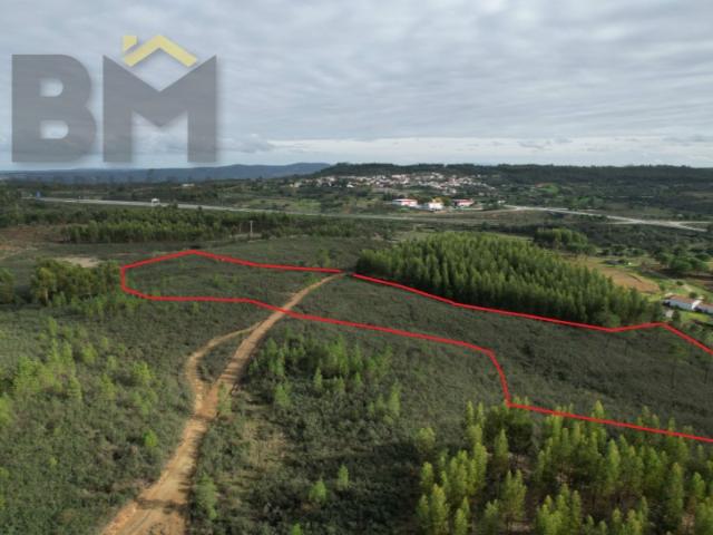 Terreno venda em Castelo Branco, Vila Velha De Ródão