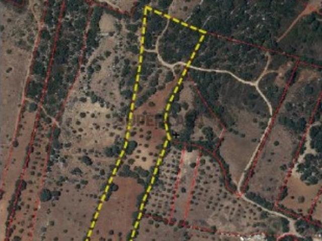 Terreno venda em São Brás de Alportel