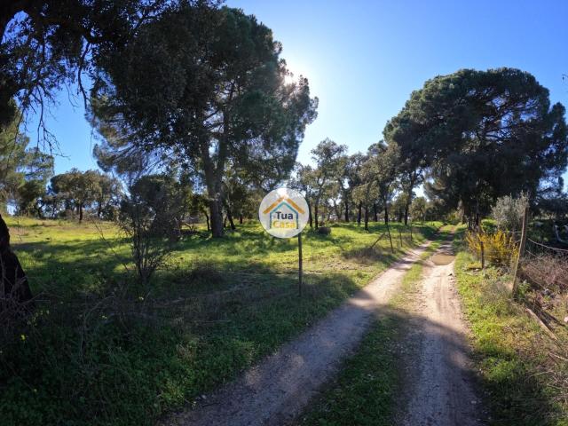 Terreno venda em Montemor-o-novo, Évora