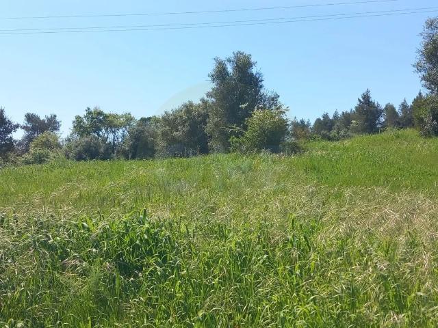 Terreno venda em Colégio Nuno Álvares, Tomar