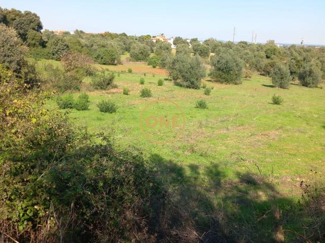 Terreno venda em Tomar, Santarém