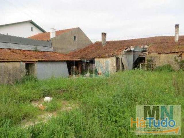 Terreno venda em Coimbrã, Coimbra