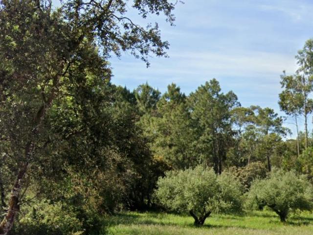 Terreno venda em Ourém, Santarém