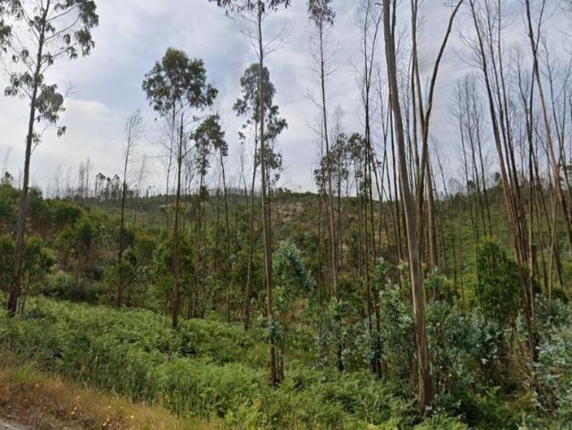 Terreno venda em Ourém, Santarém