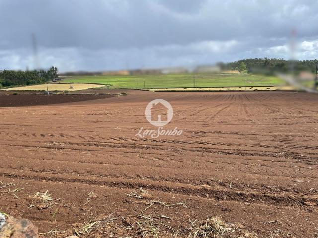 Terreno venda em Balazar, Póvoa de Varzim