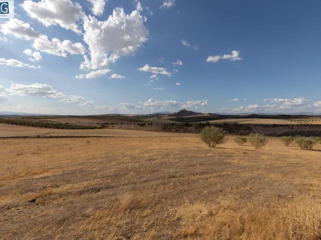 Terreno en venta en Comarca de la Vega de Granada, Andalucía