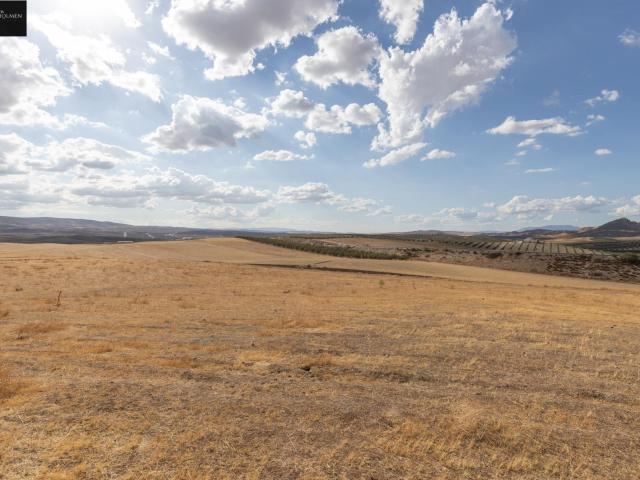 Terreno en venta en Comarca de la Vega de Granada, Andalucía