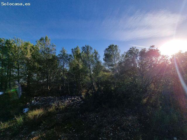 Local Comercial en venta en Baix Ebre, Catalunya