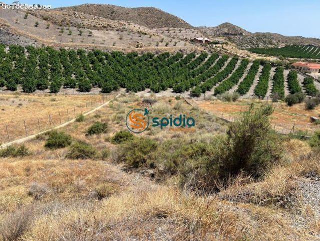 Local Comercial en venta en Los Estrechos, Alto Guadalentín