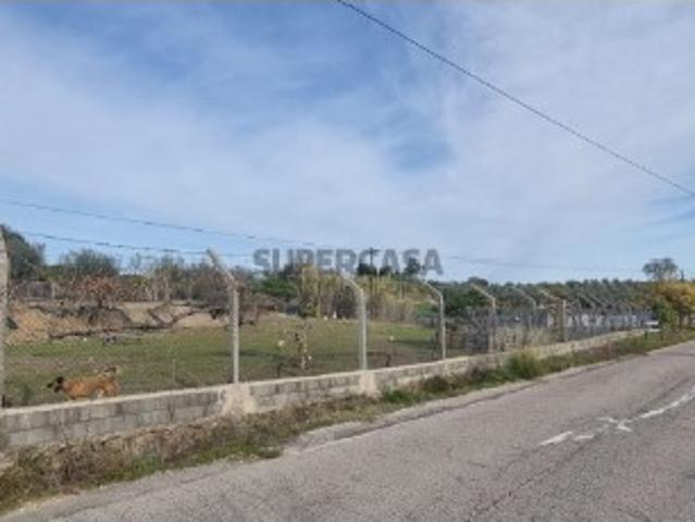 Terreno venda em Castelo Branco