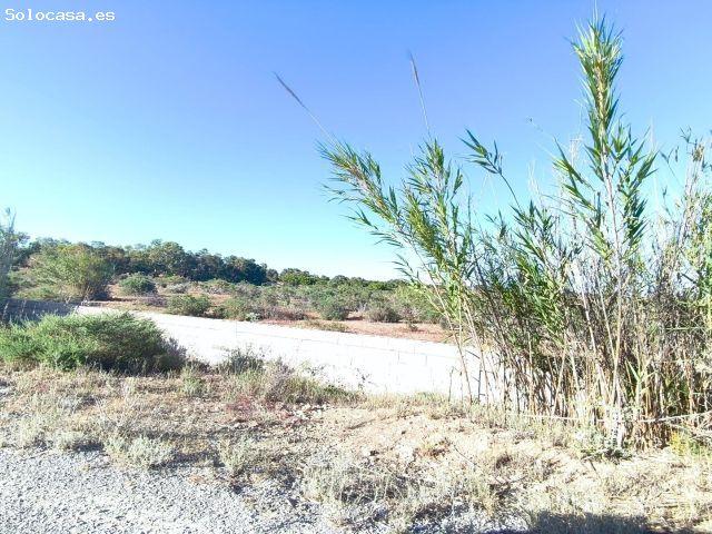 Local Comercial en venta en la Barrera, el Baix Vinalopó