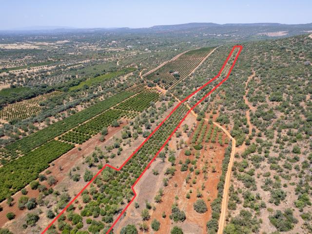 Terreno venda em Albufeira, Faro
