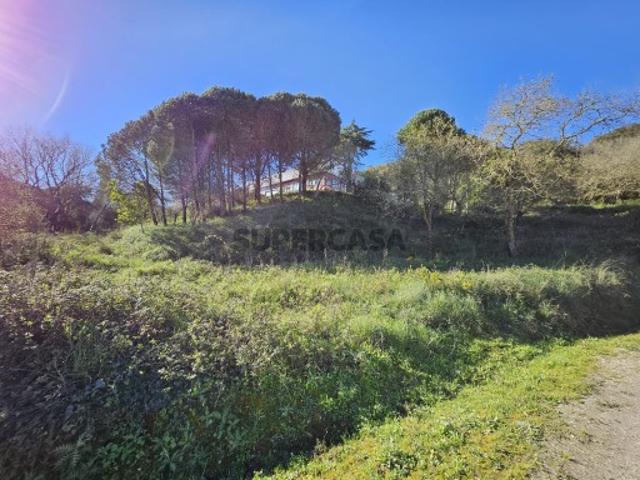 Terreno venda em Mafra, Lisboa
