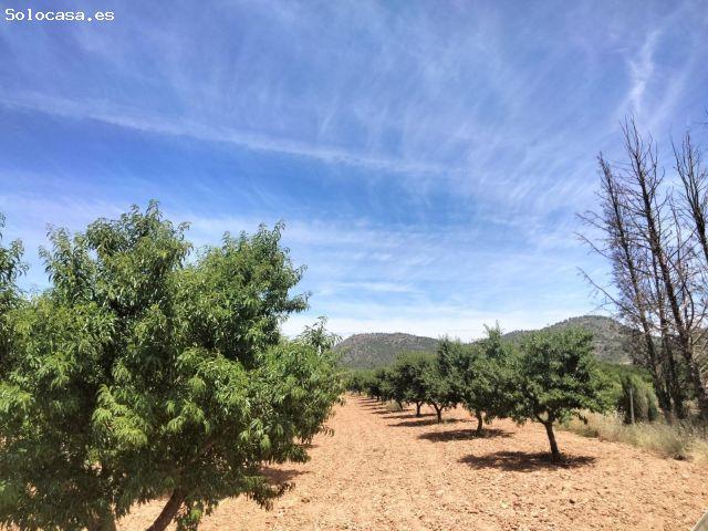 Local Comercial en venta en Noroeste, Murcia