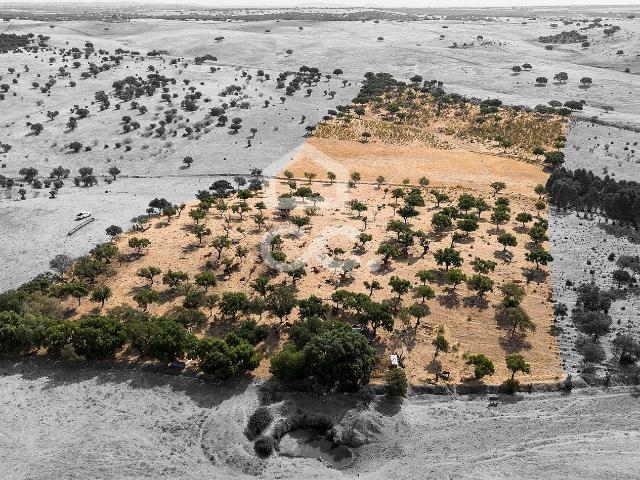 Terreno venda em Reguengos De Monsaraz, Évora
