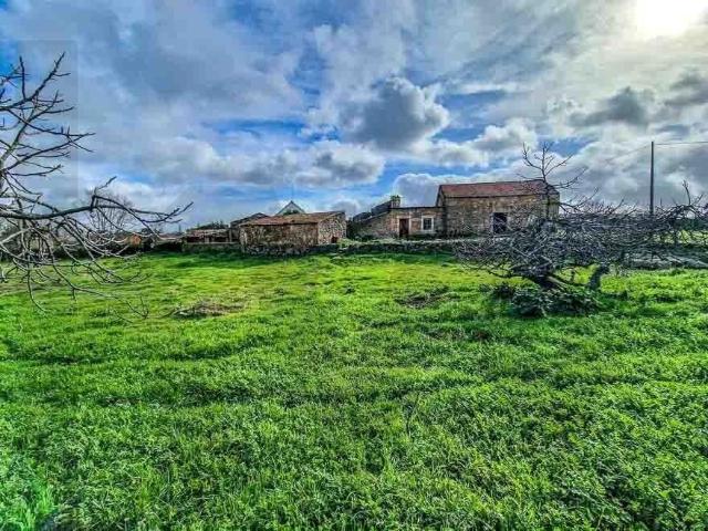 Terreno venda em Castelo Branco