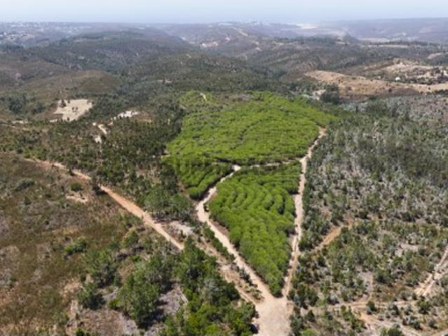 Terreno venda em Aljezur Terreno venda em Aljezur