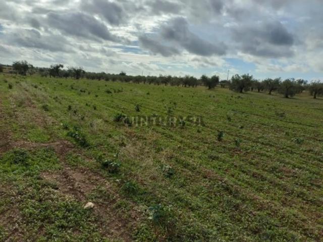 Terreno venda em Mourão, Évora