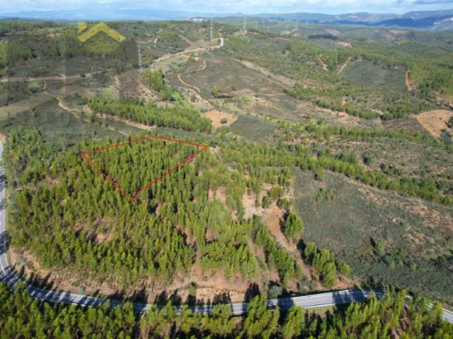 Terreno venda em Castelo Branco, Vila Velha De Ródão