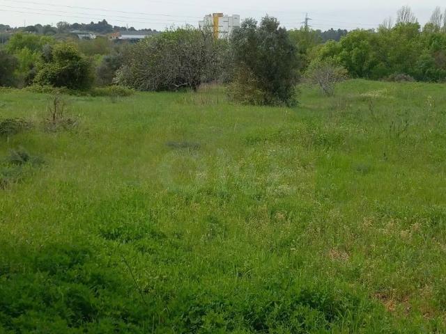 Terreno venda em Tomar, Santarém