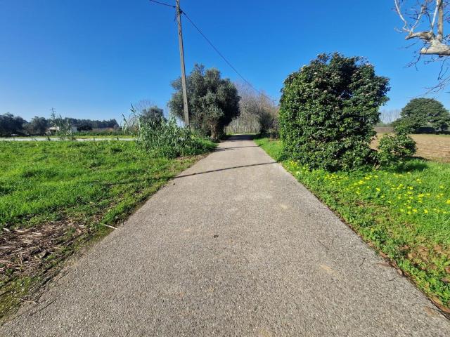 Terreno venda em Anadia, Aveiro