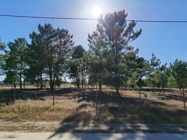 Terreno venda em Palmela, Setúbal