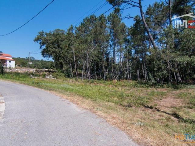 Terreno venda em Porto De Mós, Leiria