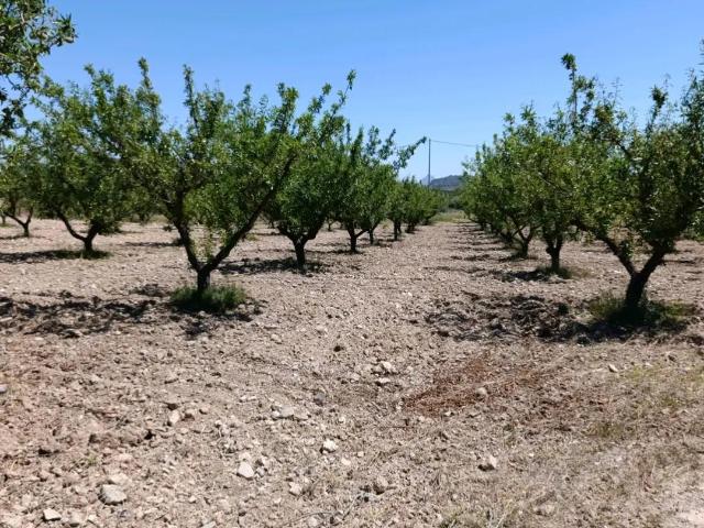 Casa en venta en Noroeste, Murcia