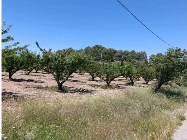 Local Comercial en venta en Campillo y Suertes, Noroeste