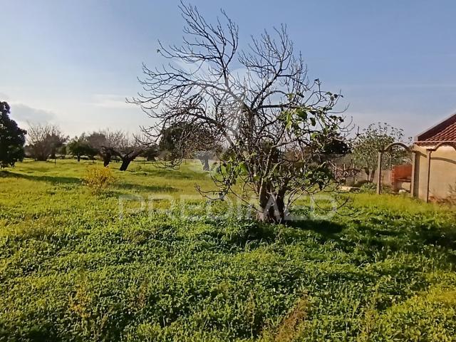 Terreno venda em Palmela, Setúbal