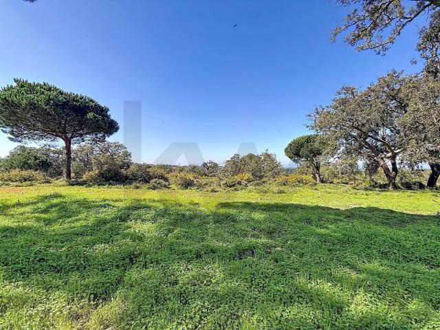 Terreno venda em Sesimbra (Castelo), Sesimbra