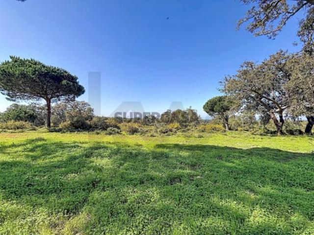Terreno venda em Sesimbra (Castelo), Sesimbra