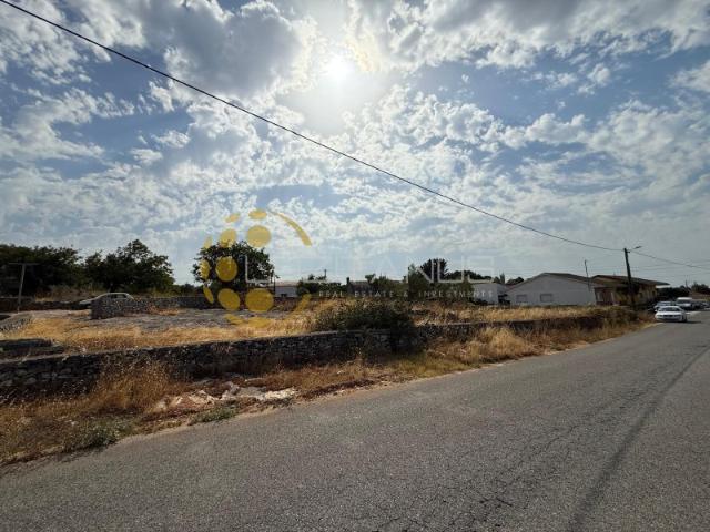 Terreno venda em Bajanca, Alcanena