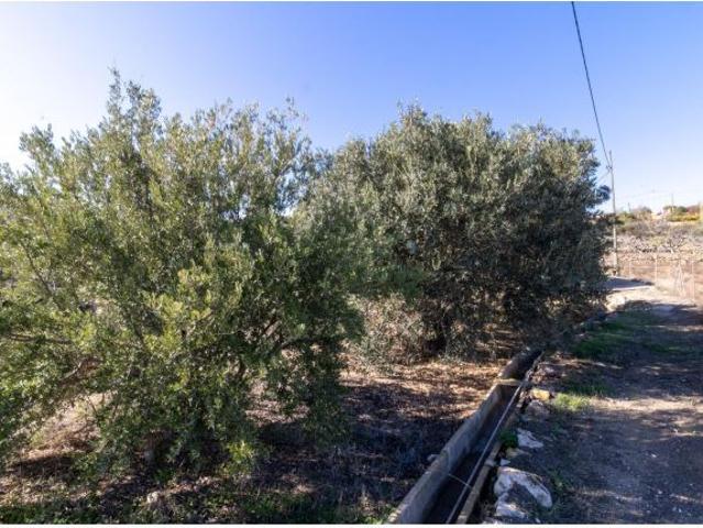 Local Comercial en venta en Alhama De Almería, Andalucía