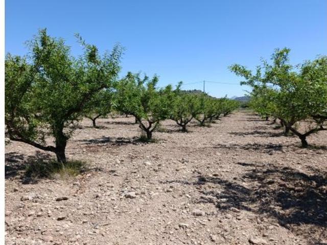Local Comercial en venta en Zarandona, Área Metropolitana de Murcia
