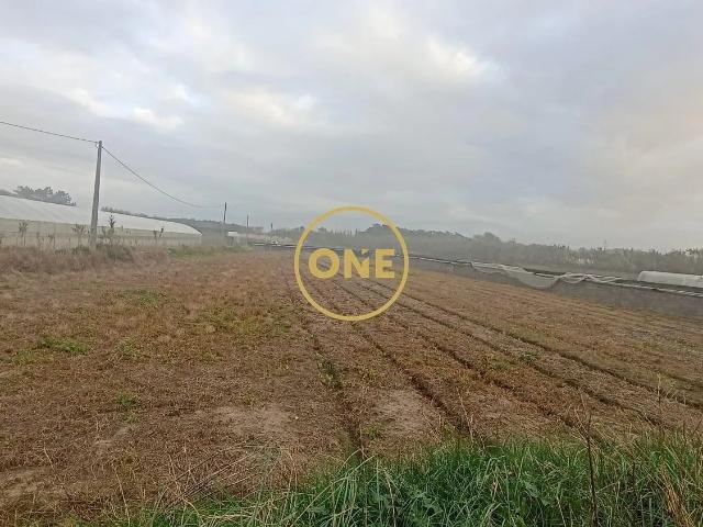 Terreno venda em Esposende, Braga