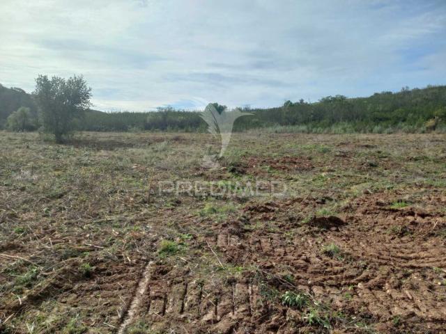 Terreno alugar em Portimão, Faro