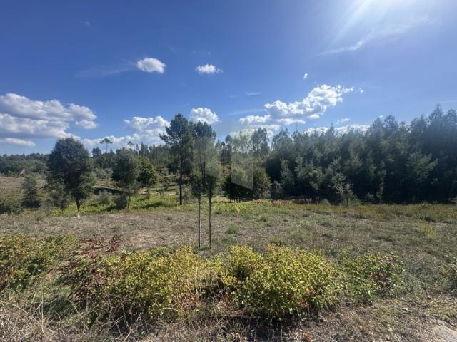 Terreno venda em Pedrógão Grande, Leiria