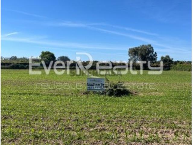 Terreno venda em Ílhavo, Aveiro