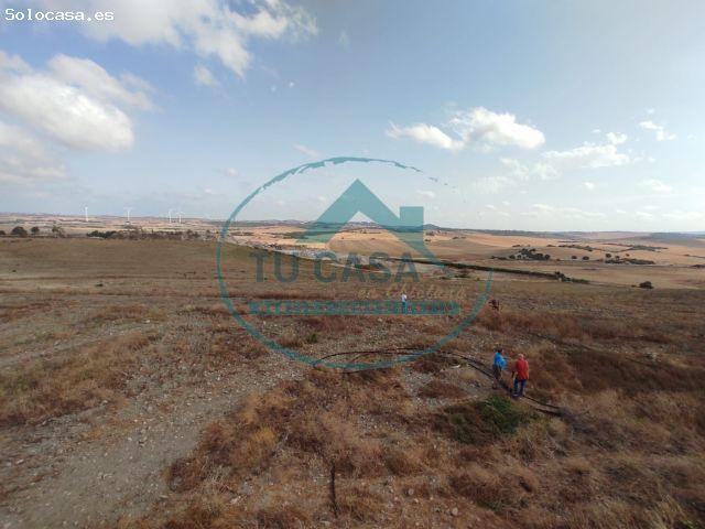 Local Comercial en alquiler en Chiclana De La Frontera, Cádiz