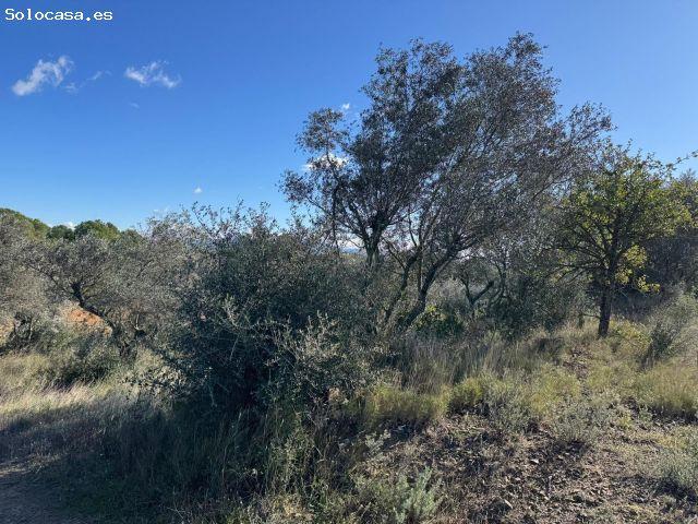 Local Comercial en venta en Alt Empordà, Catalunya